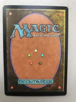 Mtg Carte Magic Secret Lair Wasteland FOIL ENG NM - Image 2