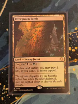 MTG Overgrown Tomb - NM - Lorwyn Eclipsed - Image 1