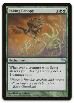 Raking Canopy #127 (NM) Shadowmoor SHM Magic MTG - Image 1