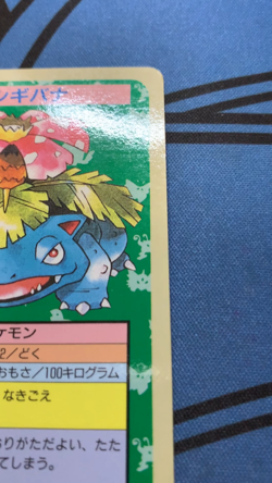 Venusaur No Number Error Blue Back Topsun 1996 Pokemon Card Japanese #1637 - Image 2