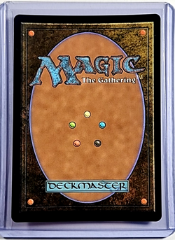 MTG Magic the Gathering Secret Lair 30th Countdown Foil Lin Sivvi Defiant Hero - Image 2