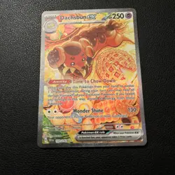 Dachsbun Ex 169/142 Stellar Crown Special Illustration Rare Pokemon TCG - NM - Image 1
