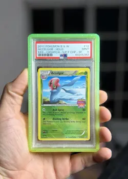 PSA 9 Pokemon Championship Series STAFF Promo Crosshatch Accelgor 12/101 MINT!! - Image 1