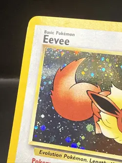 Pokemon - Eevee 11/53 - Wotc - Black Star Promo Holo G - Image 3