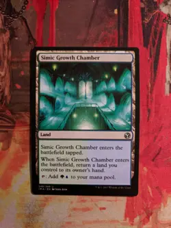 MTG Card : Simic Growth Chamber - Image 1
