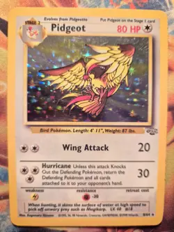 Pidgeot Holo Rare Pokemon Card, Jungle, 8/64 - Image 1