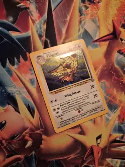 Pidgeot Holo Rare Pokemon Card, Jungle, 8/64 - Image 3