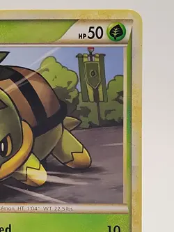 Turtwig 67/95 Unleashed Common Pokemon Card - Image 3
