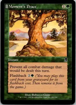 MTG Magic The Gathering Moment's Peace Odyssey Played See Scan C - Image 1