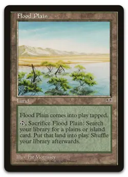 Flood Plain (NM) Mirage MIR Magic MTG - Image 1