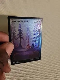 Snow-Covered Forest PixelSnowLands.jpg (Etched) Secret Lair Drop Lightly Played - Image 1