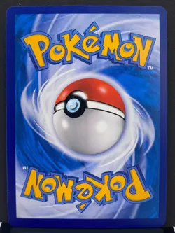 Friends in Alola 081/S-P 1st Anniversary Gift Box Pokemon Card | Chinese | NM+ - Image 3