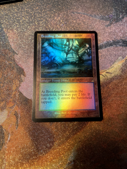 Breeding Pool Foil Retro Shockland HIGH QUALITY - Image 1