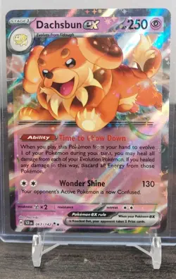 Pokemon TCG - Dachsbun EX 067/142 Sv07: Stellar Crown Holo double rare - NM/M - Image 1