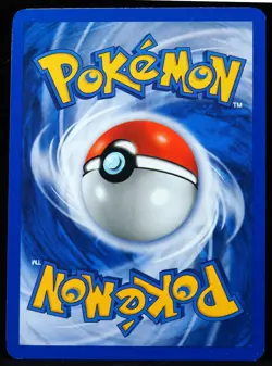 Eevee #11 Black Star Promo NM/M Pokemon Card - Image 5