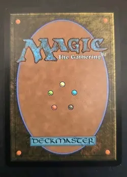 Ponder Secret Lair Drop MTG Rainbow Foil Near Mint - Image 2