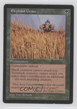 Elephant Grass Magic: Visions 1997 - Image 1