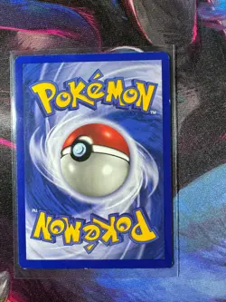 Kabuto Fossil Card 50/62 Regular Common 1st Edition Pokemon TCG LP+ - Image 2