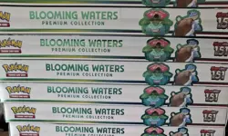 Pokemon TCG Scarlet & Violet 151 Blooming Waters FACTORY SEALED CASE X 6 Inside - Image 1