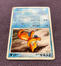 Buizel Pokemon Card 2008 Collection Challenge Gym Promo 120/DP-P EX - Image 5