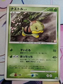 Pokemon Japanese Turtwig Promo - Junior Stamp Rally - 117/DP-P LP - Image 1