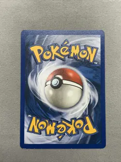 Pokemon TCG 2003 Gyarados Skyridge Near Mint 11/144 Non-Holo - Image 5