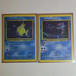 Fan Made Pokemon Shining Magikarp & Shining Gyarados Neo Revelation Holo English - Image 1