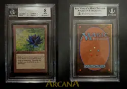 Black Lotus - Beta - BGS 8 (centering 9, edges 7.5, corners 9, surface 8) - MTG - Image 1