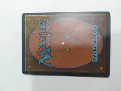 AUTUMN WILLOW mtg LP/NM Homelands 1 Rare - Image 2