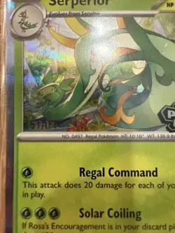 Perfect Order Prerelease Staff Promo 4 cards Sealed!!! - Image 2