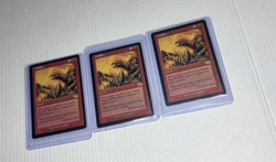 MTG Wildfire Ungraded - Image 1