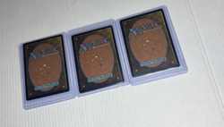 MTG Wildfire Ungraded - Image 2