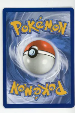 Pidgeot ex - Pokemon 2023 Obsidian Flames #225 MINT - Image 2