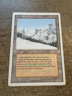 1x Taiga Revised Edition MTG - MP - Image 1