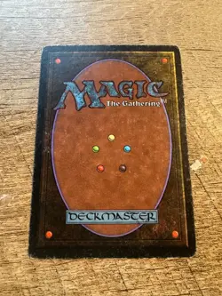 1x Taiga Revised Edition MTG - MP - Image 2