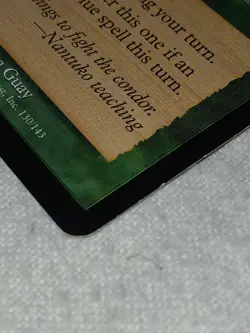 1X Seedtime Judgment Magic The Gethering WoTC TCG - Image 2