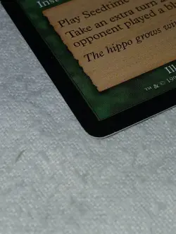 1X Seedtime Judgment Magic The Gethering WoTC TCG - Image 3