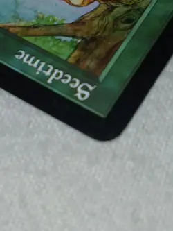 1X Seedtime Judgment Magic The Gethering WoTC TCG - Image 5