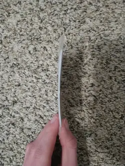 Reshiram 017/094 - Pokemon TCG: Phantasmal Flames - SEALED Stamped Promo - Image 4