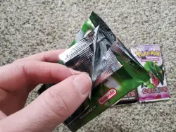 Pokemon TCG EX Deoxys Booster Pack Art Set EMPTY - Image 4