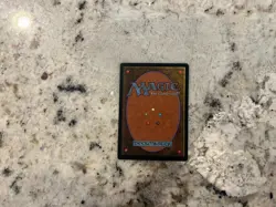 Mtg Grim Feast Foreign - Magic the Gathering Grim Feast Foreign LP Oop - Image 2