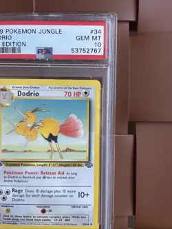 1999 Pokemon Jungle TCG Dodrio #34 1st Edition PSA 10 - Image 5
