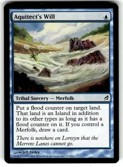 Aquitect's Will - Lorwyn - Magic the Gathering MTG Nice! - Image 1