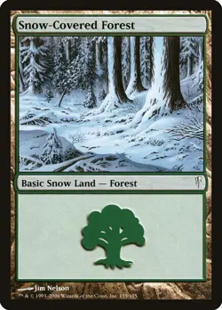Snow-Covered Forest [Coldsnap] Lightly Played Foil - Image 1