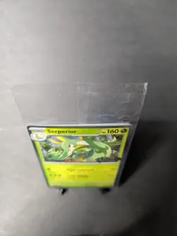Pokemon Perfect Order Prerelease Staff Promo Pack – Sealed - Image 2