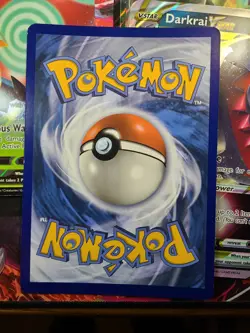 Pokemon *JUMBO* Card Lot Of 10 - Oversized Cards - NM-HP Condition! - Image 5