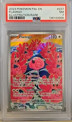 2023 POKEMON PAL EN-PALDEA EVOLVED ILLUSTRATION RARE #227 FLAMIGO PSA 7 - Image 1