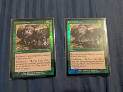 2x Acorn Harvest Torment FOIL - LP - MTG - Magic the Gathering - Image 3