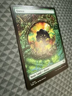 MTG Forest #0291 Tarkir: Dragonstorm (TDM) - Image 2