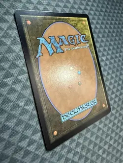 MTG Forest #0291 Tarkir: Dragonstorm (TDM) - Image 4